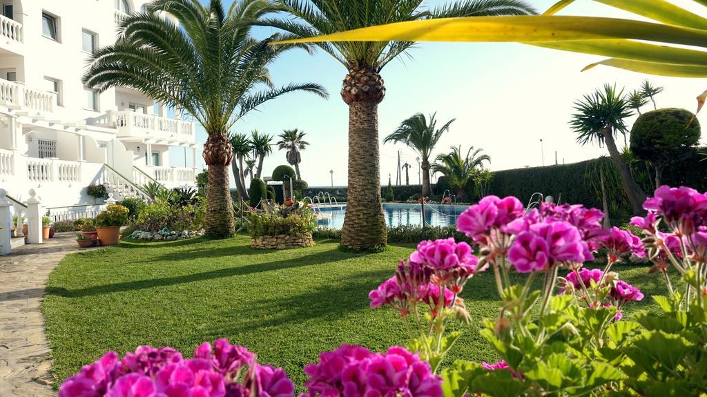 Apartamentos Starnerja En Stella Maris ห้อง รูปภาพ