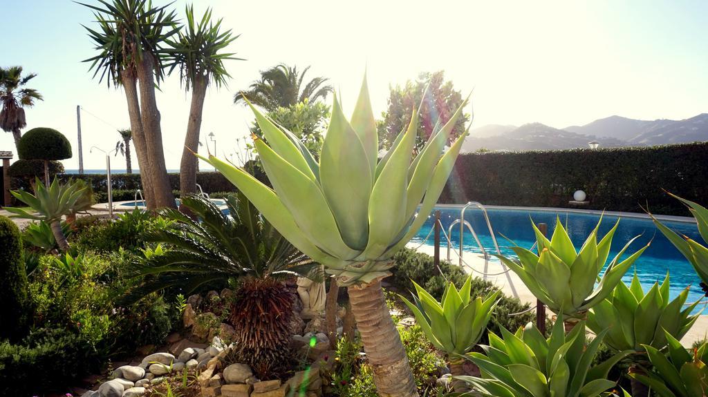 Apartamentos Starnerja En Stella Maris ห้อง รูปภาพ