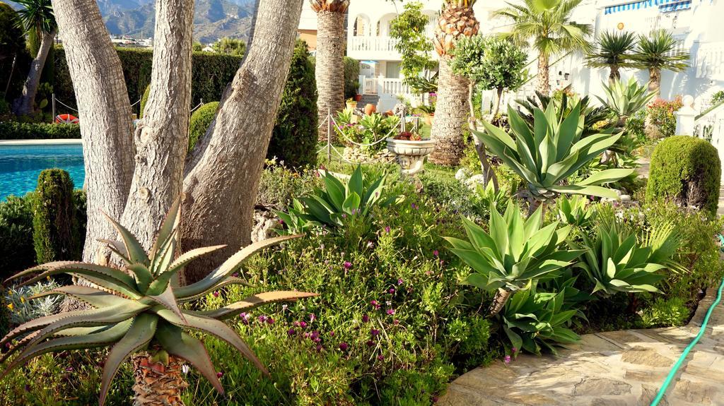 Apartamentos Starnerja En Stella Maris ห้อง รูปภาพ