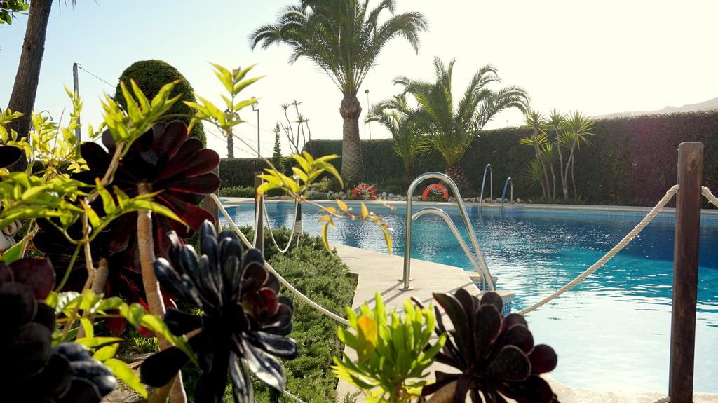 Apartamentos Starnerja En Stella Maris ห้อง รูปภาพ