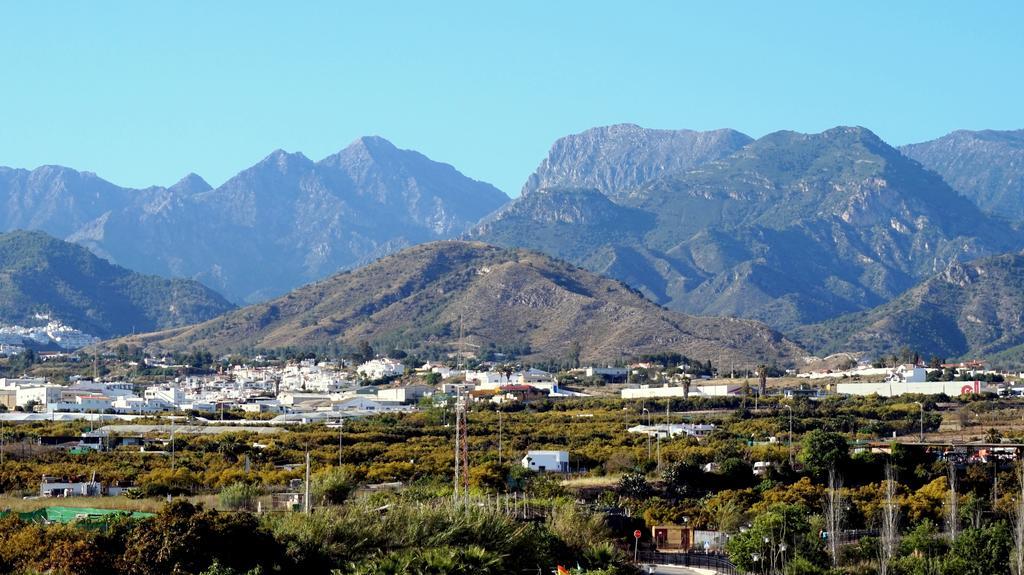 Apartamentos Starnerja En Stella Maris ห้อง รูปภาพ